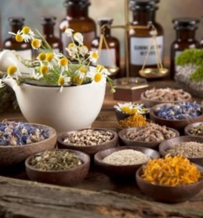 Descifrando las propiedades energéticas de las plantas según su sabor