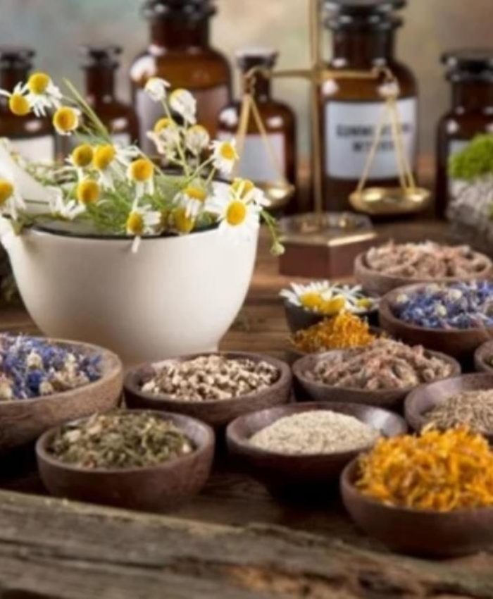 Descifrando las propiedades energéticas de las plantas según su sabor