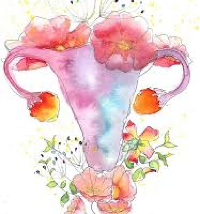 Navegando  por las Vías de Eliminación de Estrógenos: Potenciando la Salud a Través de la Alimentación (Parte 1)