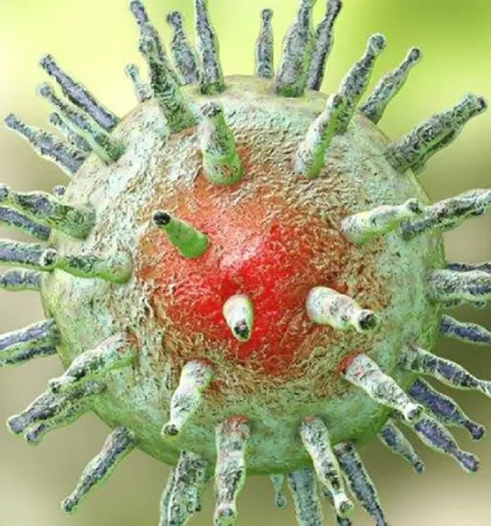 Epstein-Barr: El Asesino Silencioso que Acecha en tu Cuerpo